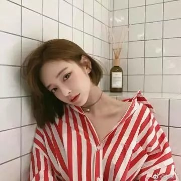 老鼠逗猫
